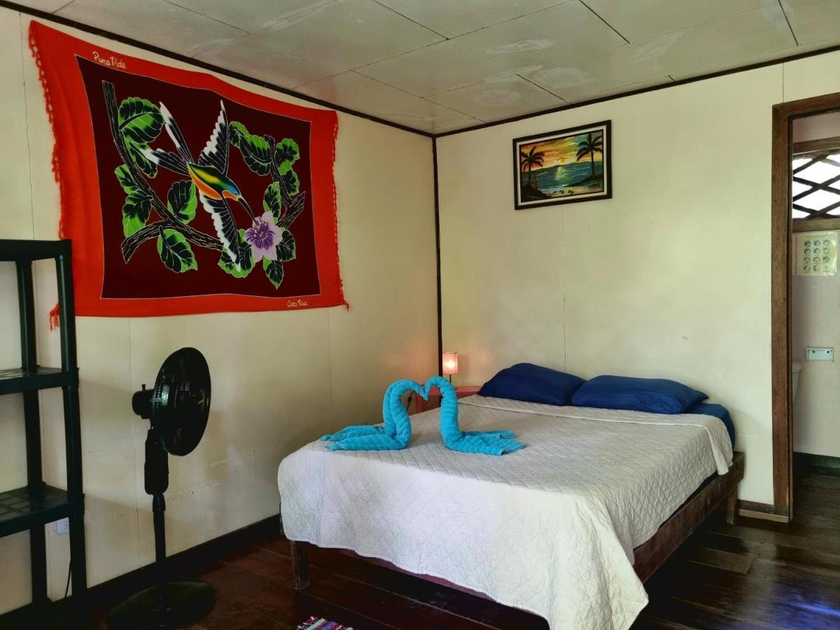 Cabinas 托尔图格罗 外观 照片