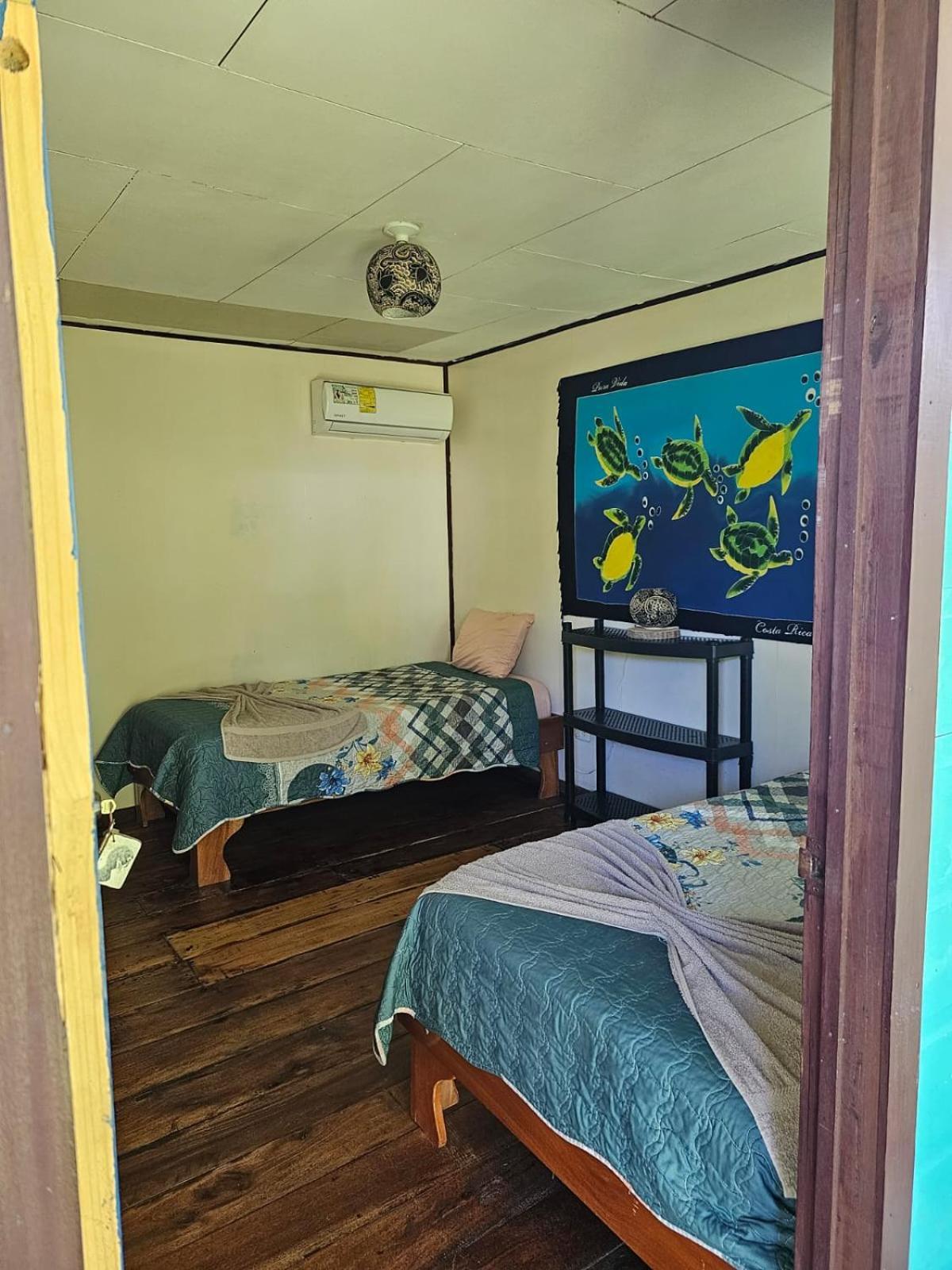 Cabinas 托尔图格罗 外观 照片